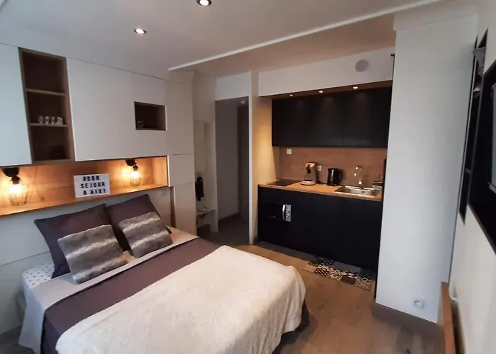 公寓 Superbe 2 Etoiles Parking Prive En Centre 艾克斯莱班