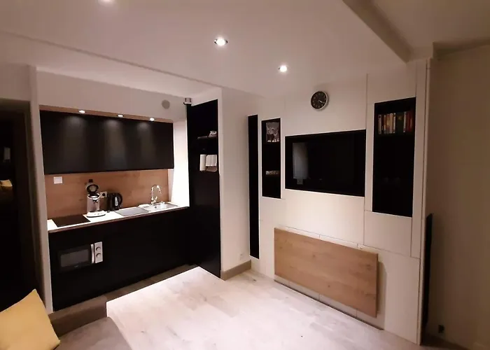 公寓 Superbe 2 Etoiles Parking Prive En Centre 艾克斯莱班