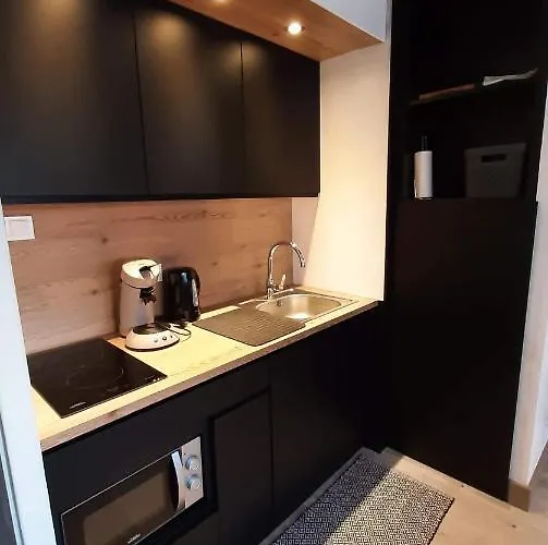 Superbe 2 Etoiles Parking Prive En Centre * 艾克斯莱班