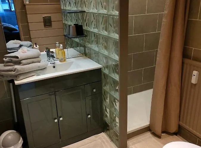 公寓 Superbe 2 Etoiles Parking Prive En Centre 艾克斯莱班