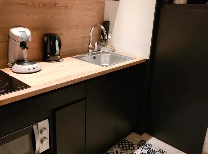 公寓 Superbe 2 Etoiles Parking Prive En Centre 艾克斯莱班