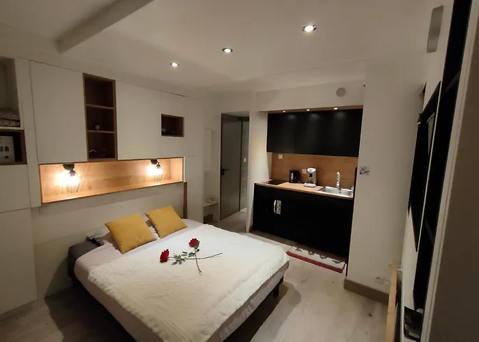 Superbe 2 Etoiles Parking Prive En Centre 艾克斯莱班