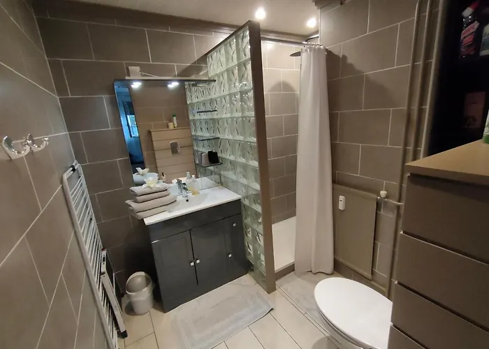 Superbe 2 Etoiles Parking Prive En Centre * 艾克斯莱班