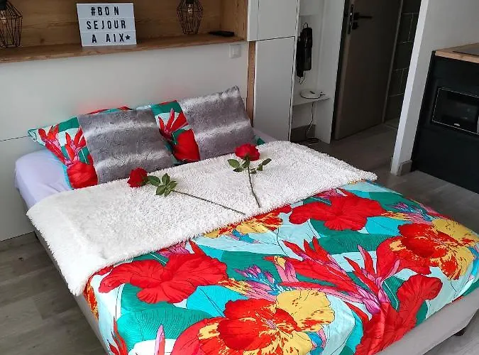 Superbe 2 Etoiles Parking Prive En Centre *