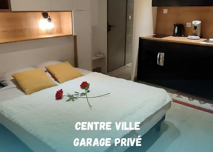 Superbe 2 Etoiles Parking Prive En Centre 公寓