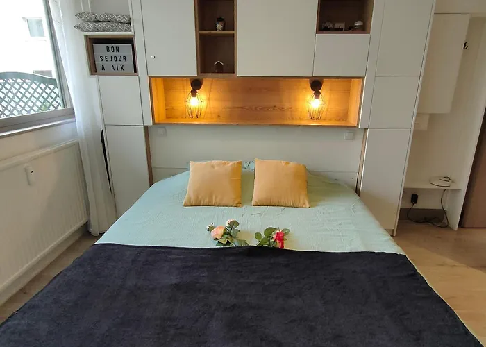 公寓 Superbe 2 Etoiles Parking Prive En Centre 艾克斯莱班